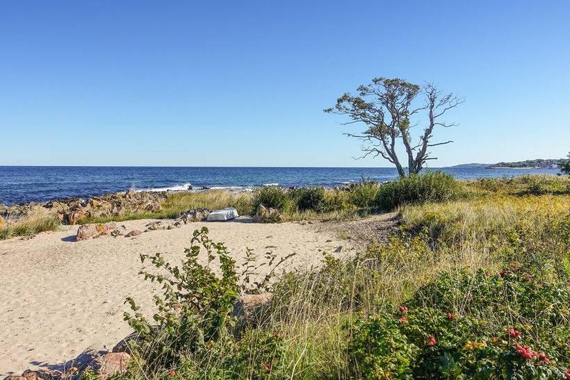 Foto von Ferienhaus DP68 in Sandkås - Bornholm
