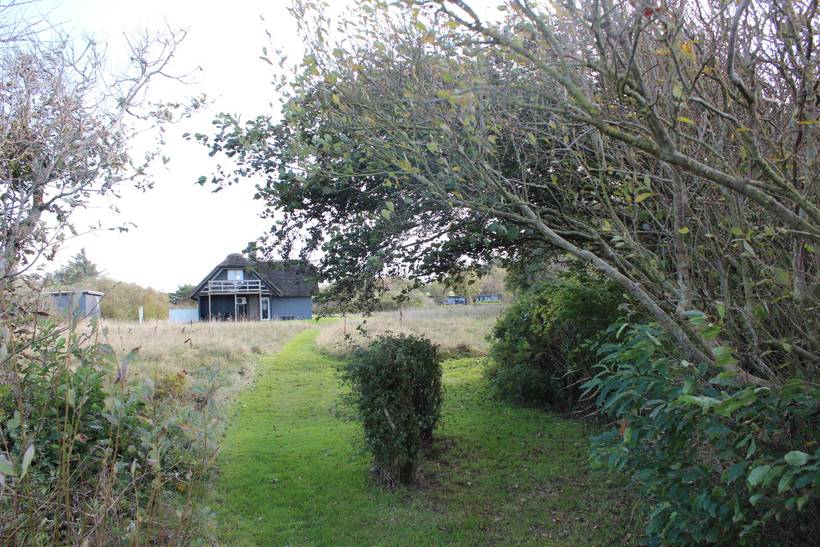 Foto von Ferienhaus DQ19 auf Mors - Thy/Limfjord