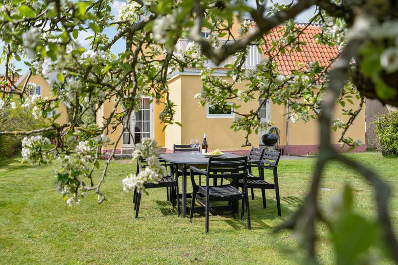 Foto von Ferienhaus DQ29 in Vesterby - Skagen - Nordjütland
