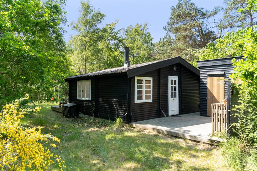 Foto von Ferienhaus DQ32 in Sejerø Bugt - Westseeland