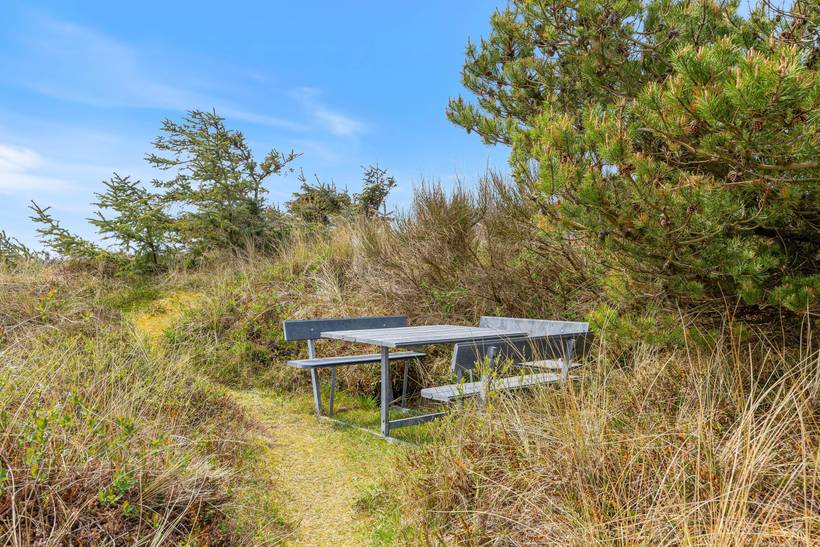 Foto von Ferienhaus DQ40 in Årgab - Westjütland