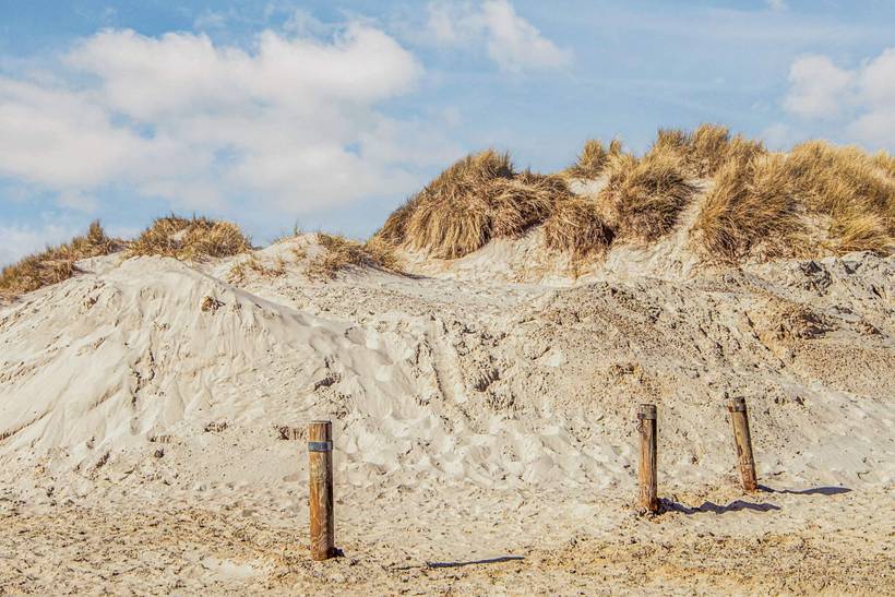 Foto von Ferienhaus DQ59 in Henne Strand - Westjütland