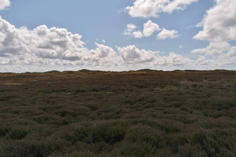Foto von Ferienhaus DQ59 in Henne Strand - Westjütland