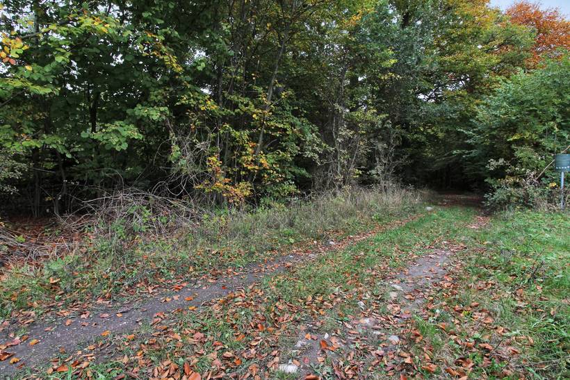 Foto von Ferienhaus DQ82 auf Sortsø - Falster