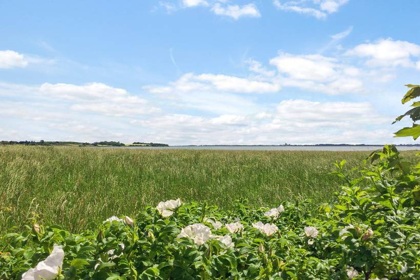 Foto von Ferienhaus DQ82 auf Sortsø - Falster