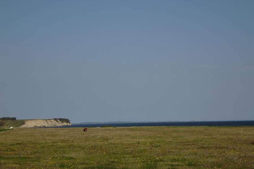 Foto von Ferienhaus DR12 auf Mors - Thy/Limfjord