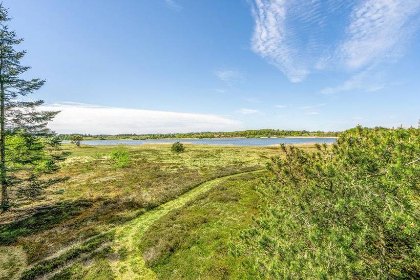 Foto von Ferienhaus DR36 in Virksund - Thy/Limfjord
