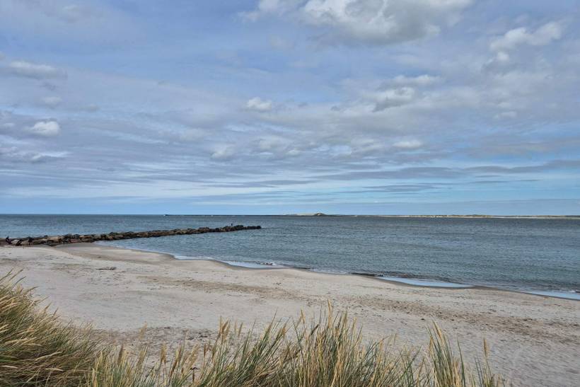 Foto von Ferienhaus DR38 in Vrist - Vejlby Klit - Westjütland