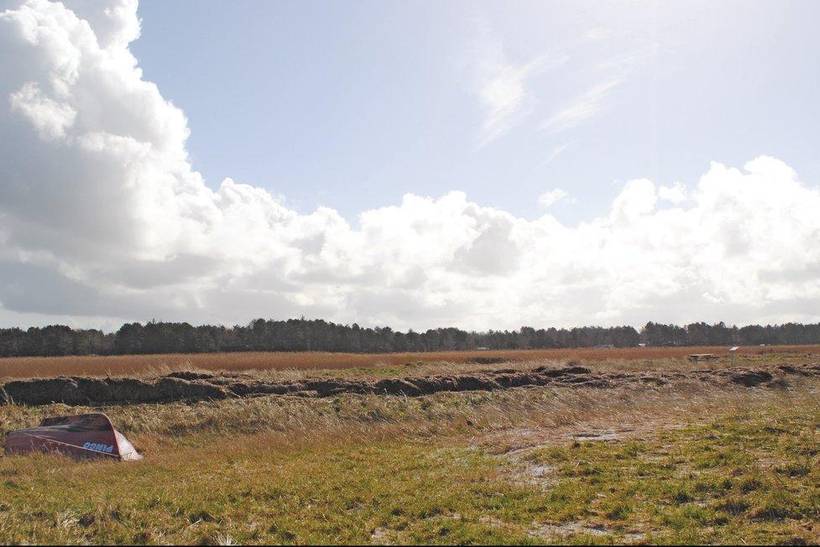 Foto von Ferienhaus DR64 in Sejerø Bugt - Westseeland