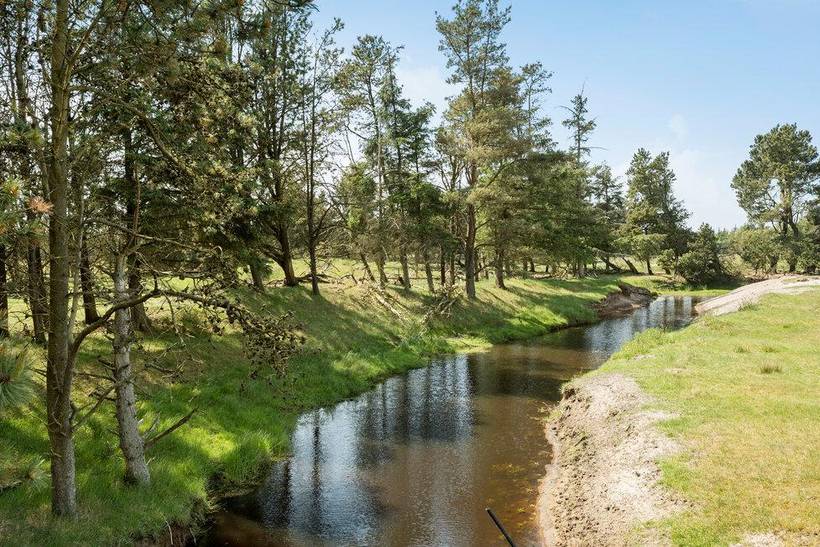 Foto von Ferienhaus DR75 in Kollerup - Nordjütland