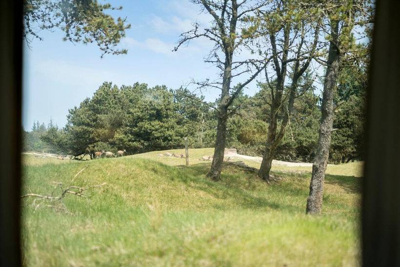 Foto von Ferienhaus DR75 in Kollerup - Nordjütland
