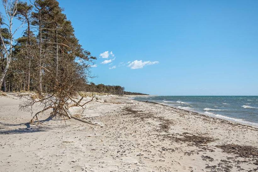 Foto von Ferienhaus DR81 in Dueodde - Bornholm