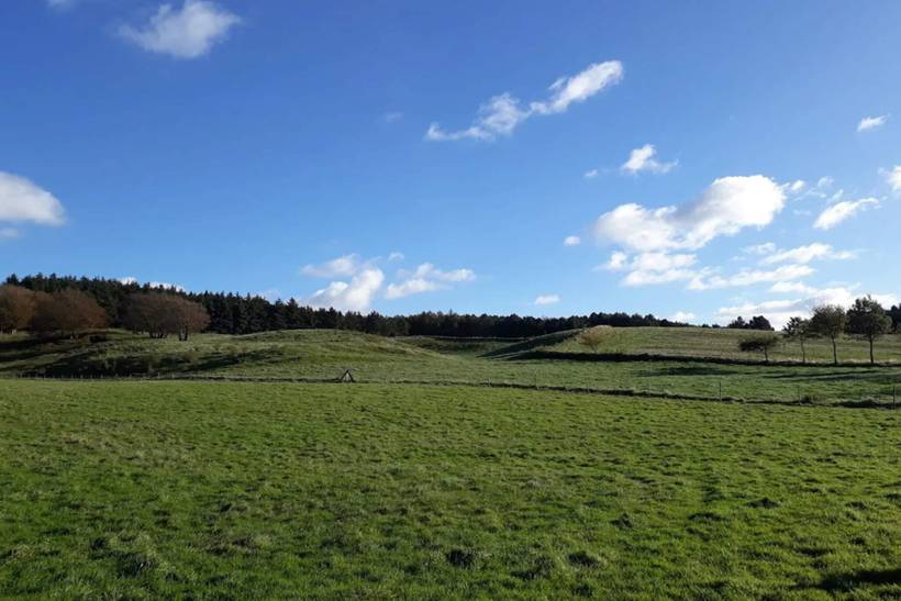 Foto von Ferienhaus DS15 in Bønnerup - Ostjütland
