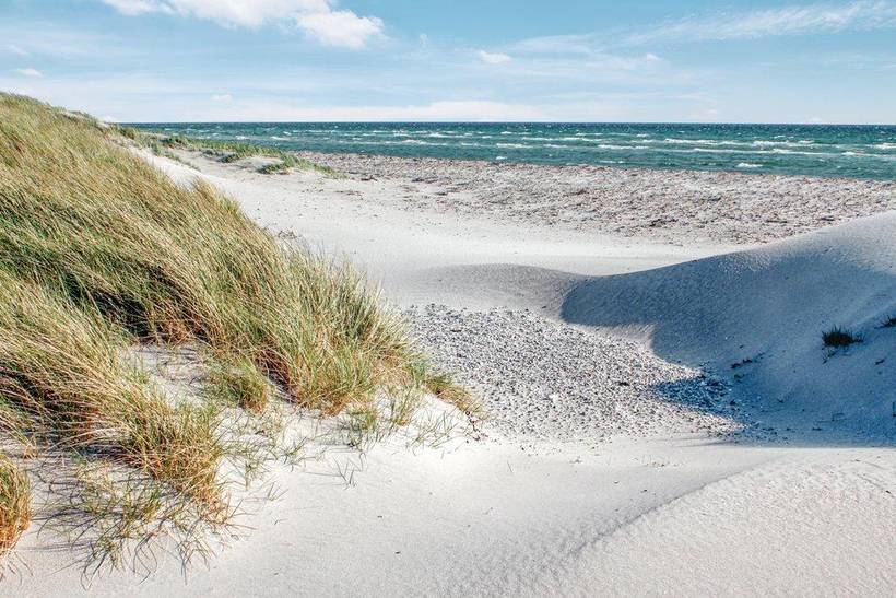 Foto von Ferienhaus DS28 in Øer - Ebeltoft - Ostjütland