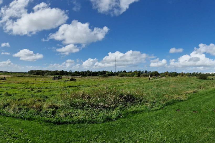 Foto von Ferienhaus DS66 in Jegum - Westjütland