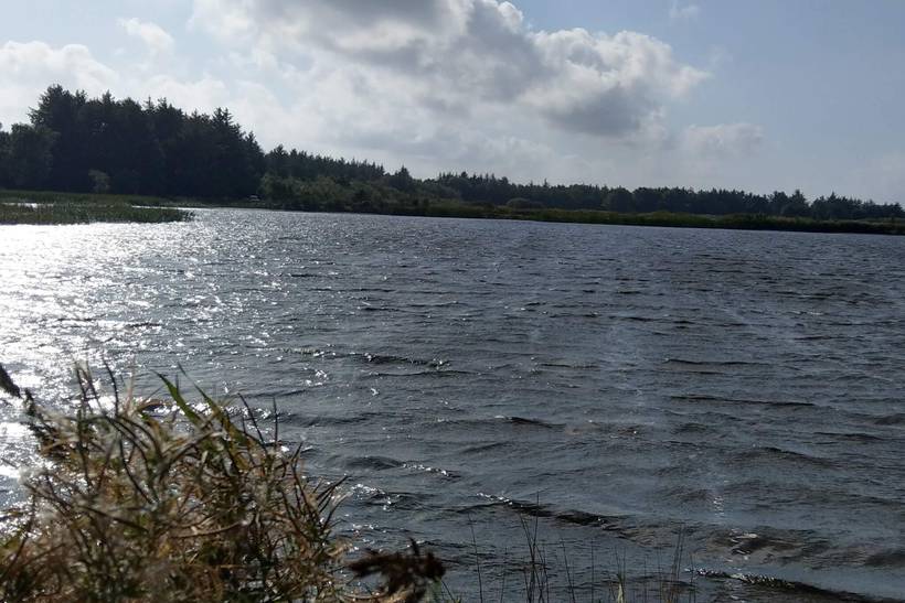 Foto von Ferienhaus DS74 in Marielyst - Falster