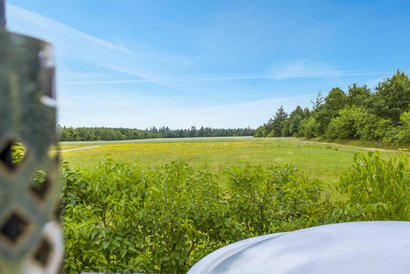 Foto von Ferienhaus DS81 in Arrild - Südjütland