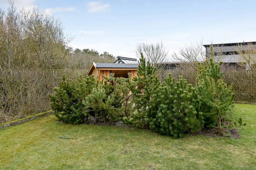 Foto von Ferienhaus DT60 in Harboøre - Vejlby Klit - Westjütland