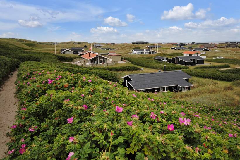 Foto von Ferienhaus DU02 in Årgab - Westjütland