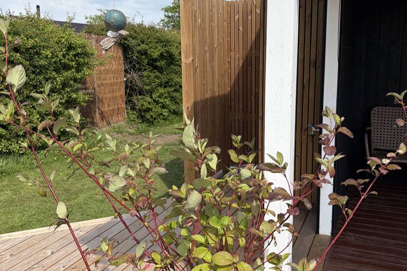 Foto von Ferienhaus DU08 in Sønderby - Juelsminde - Ostjütland