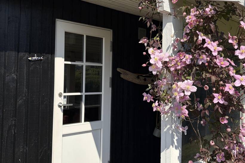 Foto von Ferienhaus DU08 in Sønderby - Juelsminde - Ostjütland