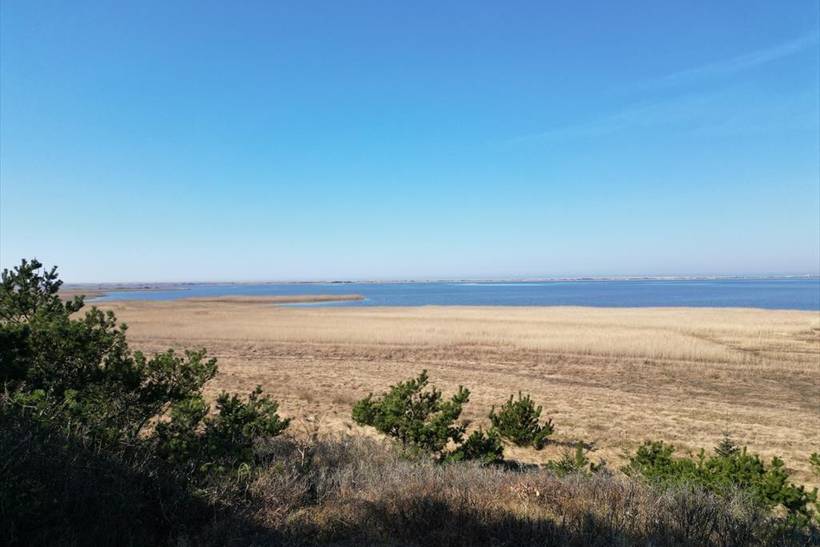 Foto von Ferienhaus DU32 in Bjerghuse - Fjand - Westjütland