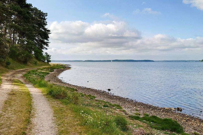 Foto von Ferienhaus DV02 auf Hyllingeriis - Nordseeland