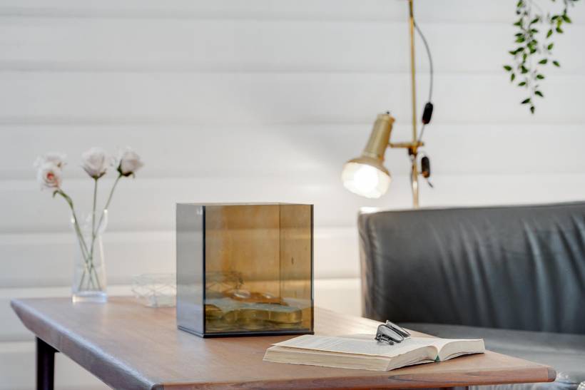 Foto von Ferienhaus DV39 in Sønderstrand - Rømø