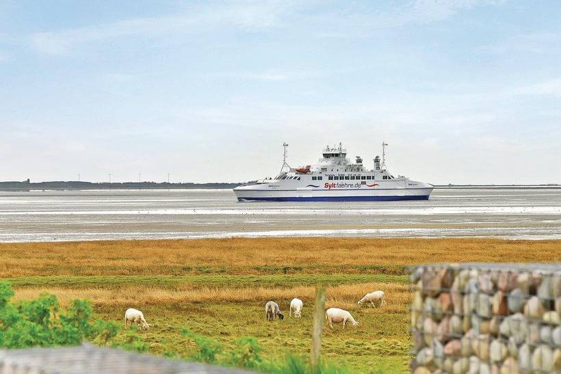 Foto von Ferienhaus DV81 in Havneby - Rømø