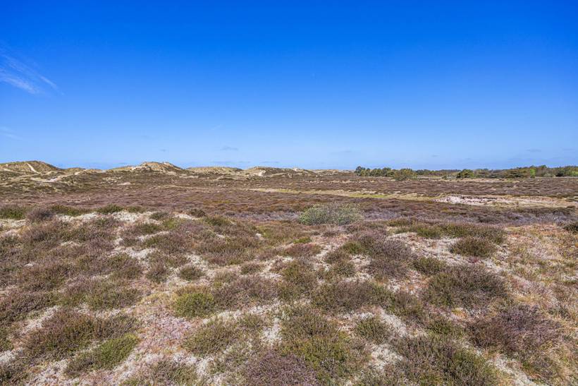 Foto von Ferienhaus DX45 in Sønderho - Fanø