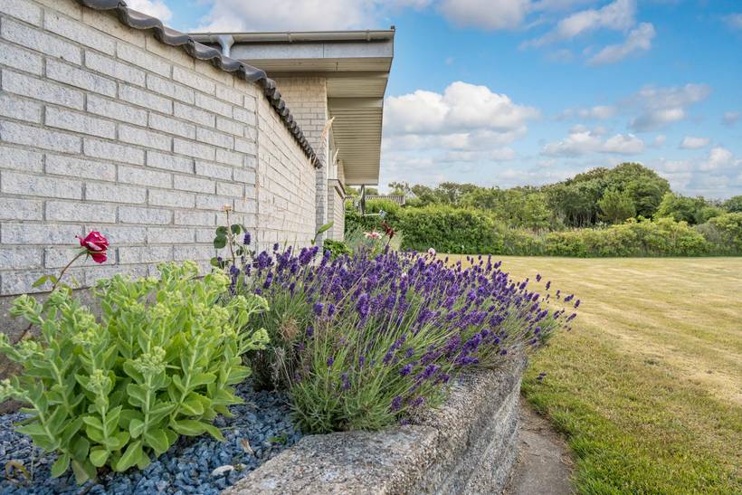 Foto von Ferienhaus DX70 in Ertebølle - Thy/Limfjord