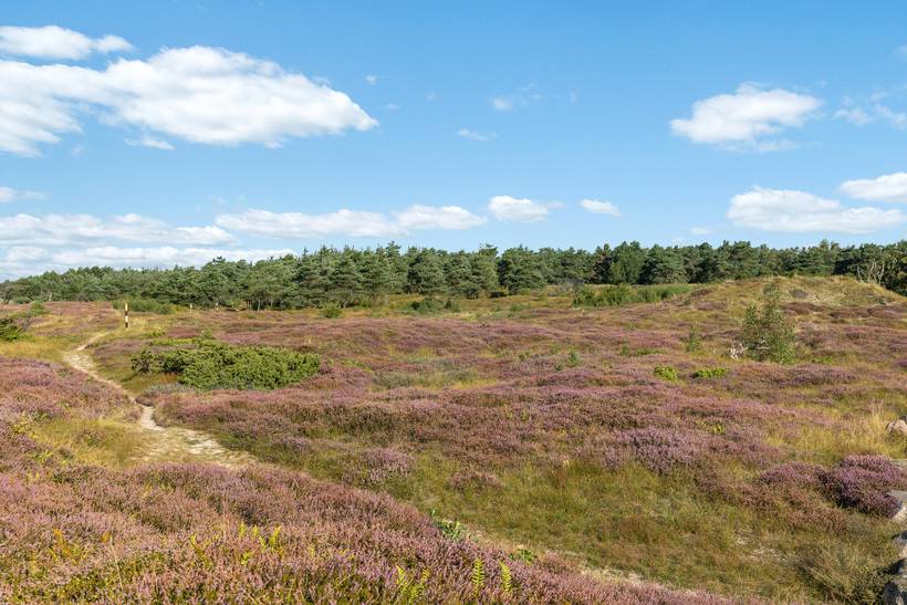 Foto von Ferienhaus DY86 in Sømarken - Bornholm