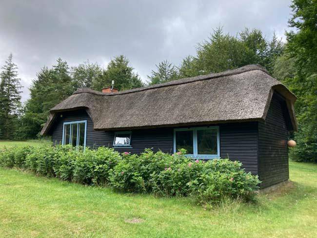 Foto von Ferienhaus DZ52 in Svinkløv - Slettestrand - Nordjütland