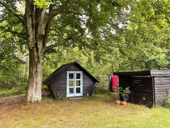 Foto von Ferienhaus DZ52 in Svinkløv - Slettestrand - Nordjütland