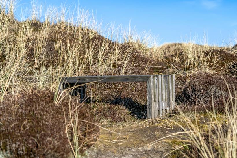 Foto von Ferienhaus DZ64 in Rødhus - Blokhus - Nordjütland