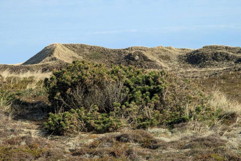 Foto von Ferienhaus EA69 in Bjerregård - Westjütland