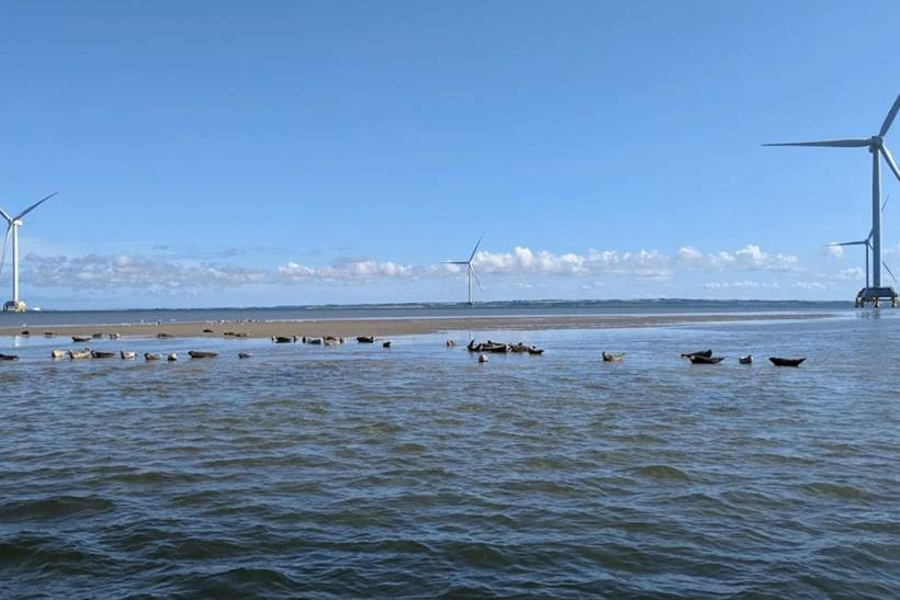 Foto von Ferienhaus EB12 in Thyborøn - Westjütland