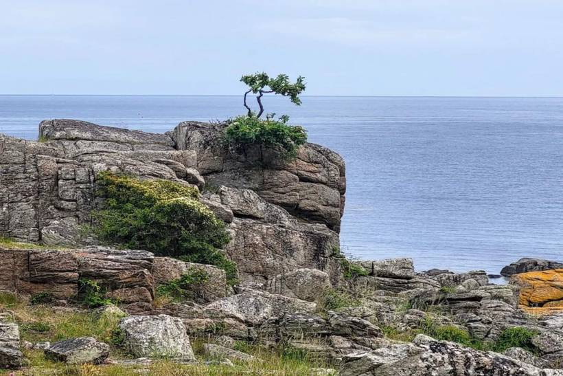 Foto von Ferienhaus EB66 in Svaneke - Bornholm