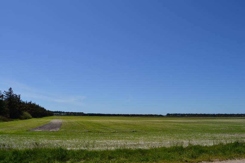 Foto von Ferienhaus EC05 in Sønderstrand - Rømø