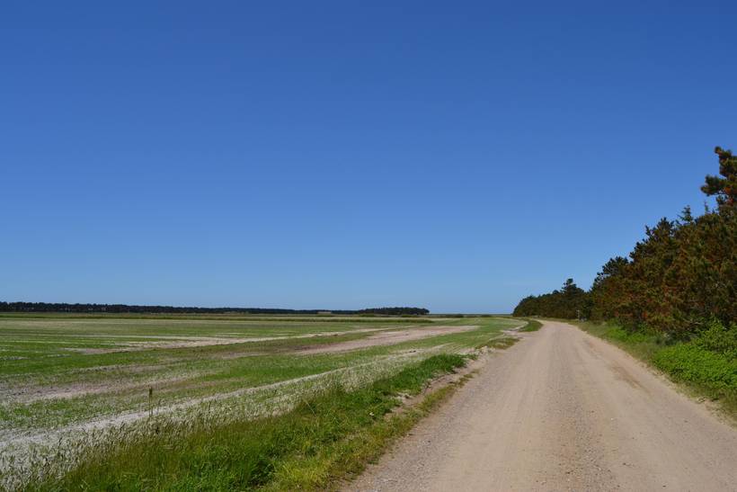 Foto von Ferienhaus EC05 in Sønderstrand - Rømø