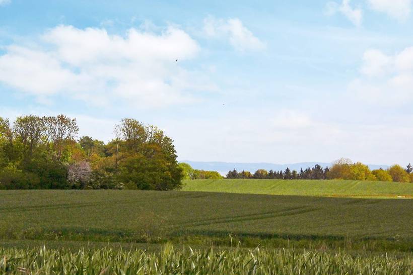 Foto von Ferienhaus EC30 auf Nordborg - Als