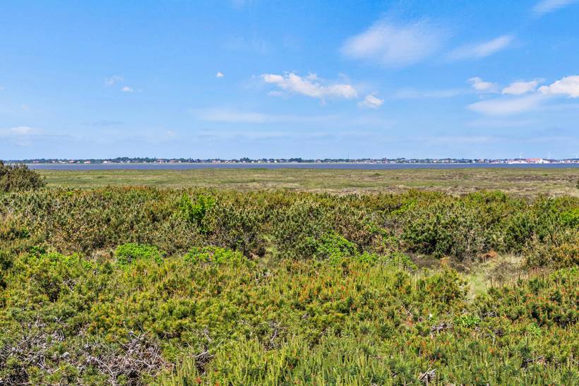 Foto von Ferienhaus EC64 auf Rindby - Fanø