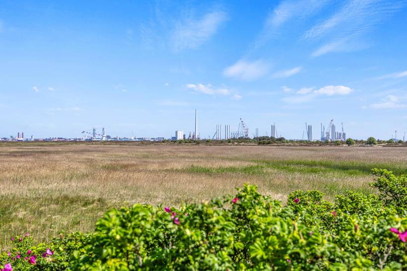 Foto von Ferienhaus EC64 auf Rindby - Fanø
