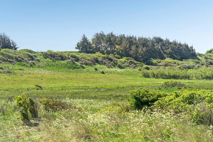 Foto von Ferienhaus EC82 in Nørlev - Lønstrup - Nordjütland