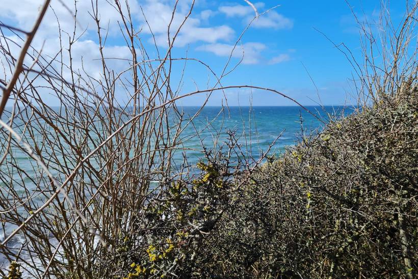 Foto von Ferienhaus ED31 in Ristinge - Langeland