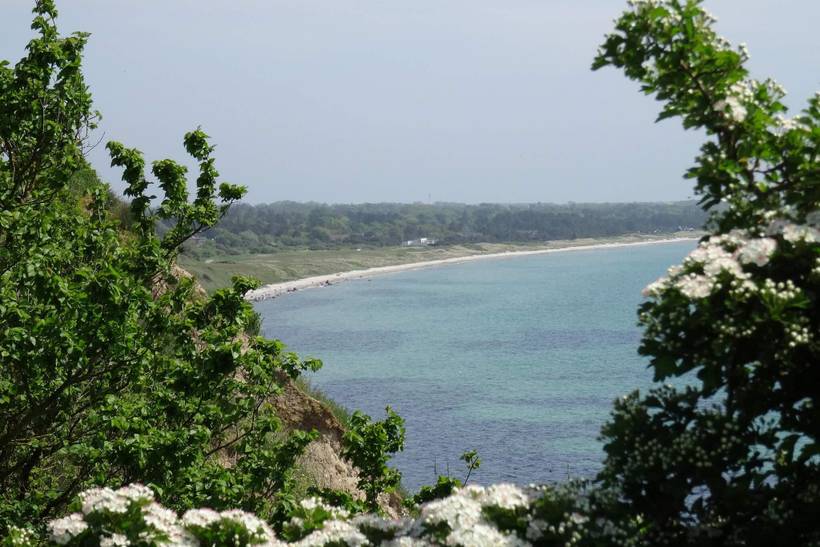Foto von Ferienhaus ED31 in Ristinge - Langeland