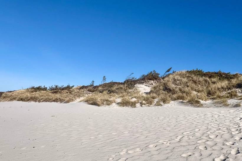 Foto von Ferienhaus ED45 in Dueodde - Bornholm