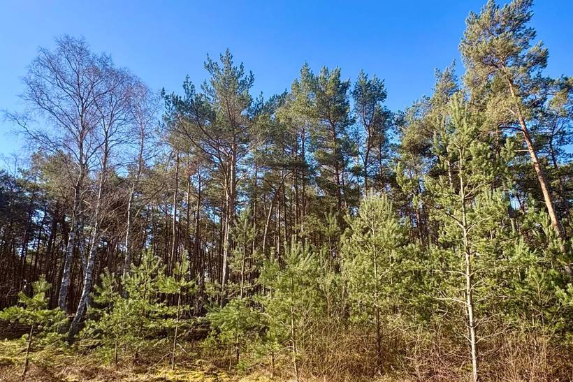 Foto von Ferienhaus ED45 in Dueodde - Bornholm