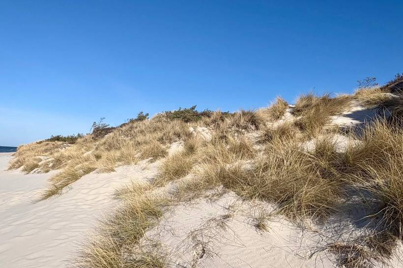 Foto von Ferienhaus ED45 in Dueodde - Bornholm