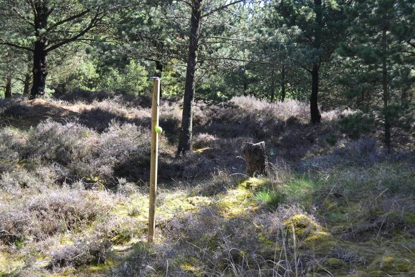 Foto von Ferienhaus ED73 in Kongsmark - Rømø